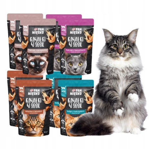 Pan Mięsko SASZETKI mokra karma dla kota pakiet próbny 8x85