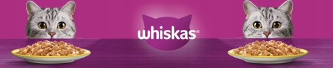 WHISKAS MOKRA KARMA DLA KOTA MIX SMAKÓW W SOSIE SASZETKI 40x85G ZDROWA WIT.