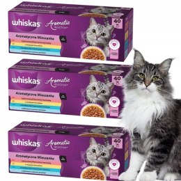 Whiskas Aromatyczna Mieszanka Karma w sosie dla kota 3 boxy 40x85g