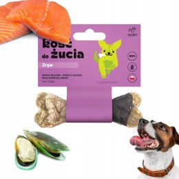 AZANKI Kość do żucia ZRYW na zdrowe stawy 12cm