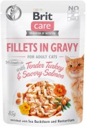 BRIT FILLETS IN GRAVY ZESTAW SASZETEK DLA KOTA 12X85G FILETY W SOSIE
