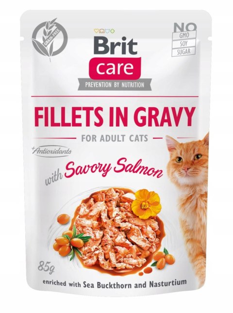 BRIT FILLETS IN GRAVY ZESTAW SASZETEK DLA KOTA 12X85G FILETY W SOSIE