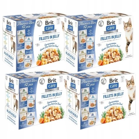 Brit Care Cat FJ Flavour Box in Jelly Pouch 4x12x85g