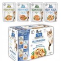 Brit Care CatFlavour Box in Jelly Pouch 12x85g