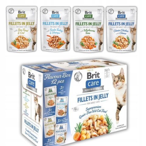 Brit Care CatFlavour Box in Jelly Pouch 12x85g