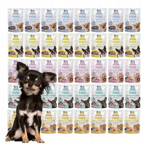 Brit Care Mini Pouch 40x85 MEGA ZESTAW ZAPAS Saszetki karma dla miniaturki