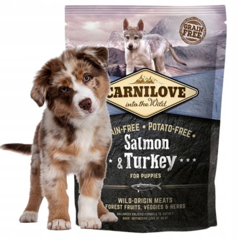 CARNILOVE PUPPY SALMON & TURKEY 4KG karma dla szczeniąt premium