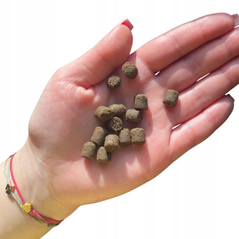 Farma KRÓLIK 2kg hipoalergiczna dla psa tłoczona na zimno