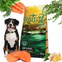 Fish4Dogs Nature Salmon Grain Free 12kg