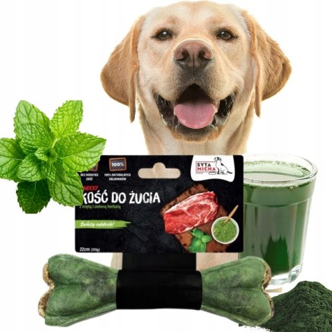 SYTA MICHA Kość dla psa na świeży oddech 22cm MAXI