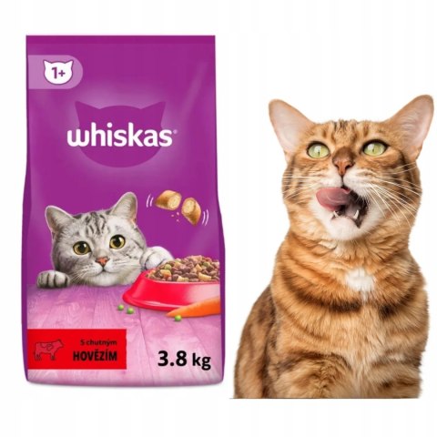 USZKODZONA Whiskas karma sucha WOŁOWINA 3,8 kg dla kota dorosłego