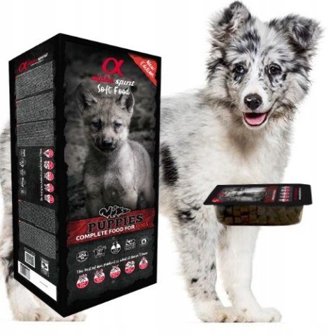 Alpha Spirit PUPPIES dla szczeniąt tacka 9kg