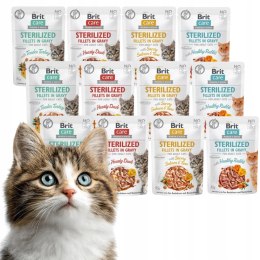 BRIT CARE CAT FG STERILISED 12X85 królik indyk kaczka
