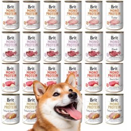 BRIT MONO protein MIX NAJLEPSZYCH SMAKÓW 24x400 g