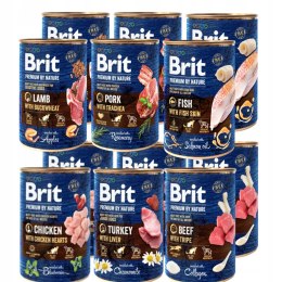 BRIT PREMIUM BY NATURE 12X400 MIX SMAKÓW