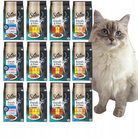 NOWE Sheba Fresh & Fine Saszetki W SOSIE MIX SMAKÓW 72x50g 12X6X50