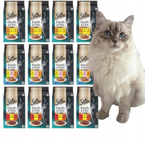 NOWE Sheba Fresh & Fine Saszetki W SOSIE MIX SMAKÓW 72x50g 12X6X50