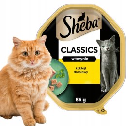 SHEBA Classics mokra karma dla kota kurczak indyk w pasztecie tacka 85 g