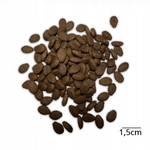 Baltica ADULT Salmon Hypoallergenic 9kg MEDIUM Rybka karma dla alergika