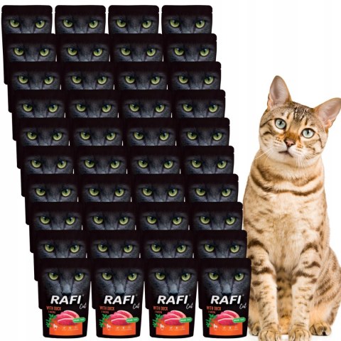 Rafi Cat kaczka 40X100g Saszetka dla kota Dolina