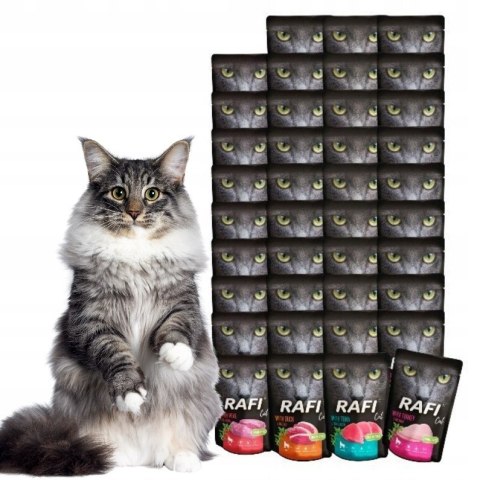 Rafi Dolina Noteci 40x100 Saszetki mokra karma dla kota NAJLEPSZE SMAKI