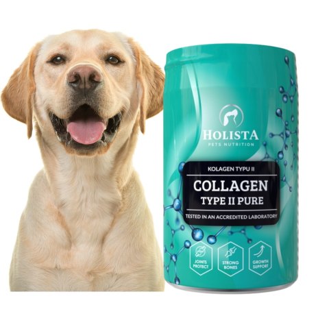 HOLISTA Collagen Typ II PURE 200g KOLAGEN ODBUDOWA CHRZĄSTKI DYSPLAZJA