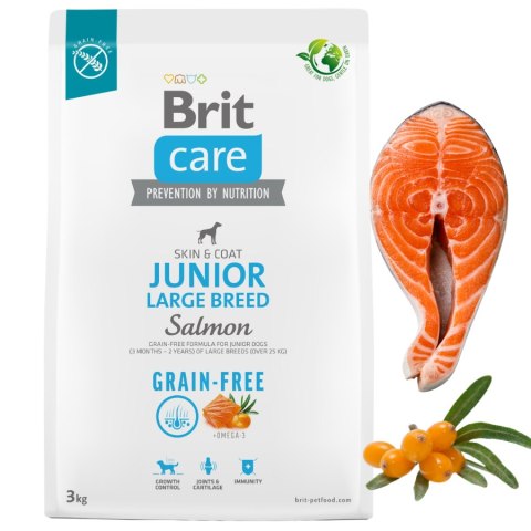 Brit Care GF Junior Large Breed Salmon 3 kg - bezzbożowa karma dla szczeniąt