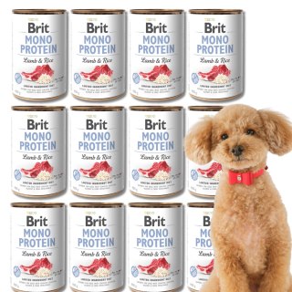 Brit Mono Protein Lamb & Rice 12x 400g JAGNIĘCINA Z RYŻEM