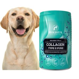 HOLISTA Collagen Typ II PURE 200g KOLAGEN ODBUDOWA CHRZĄSTKI DYSPLAZJA