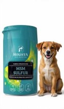 HOLISTA MSM HolistaPets 250 g SIARKA ORGANICZNA SUPLEMENT DLA PSA