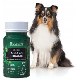 Holista Alga as Organic 90 tabletek