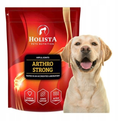 Holista Arthro Strong Chondro 600g Dysplazja