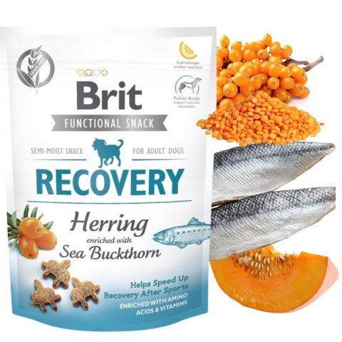 Smakołyk Brit Care Functional Snack Recovery 150g