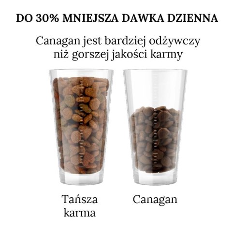 Canagan Country Game 2 kg karma dla psa kaczka sarna królik bez zbóż