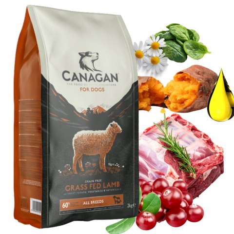 Canagan Grass Fed Lamb Karma dla Psa Bezzbożowa Jagnięcina 2KG