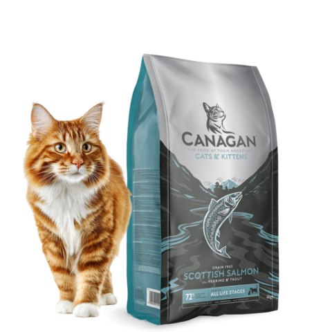 Canagan Scottish Salmon 1,5g Bezzbożowa Karma dla Kota Łosoś