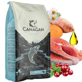 Canagan Scottish Salmon 2kg Karma dla Psa Bezzbożowa Łosoś