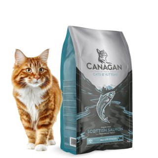 Canagan Scottish Salmon 375g Bezzbożowa Karma dla Kota Łosoś
