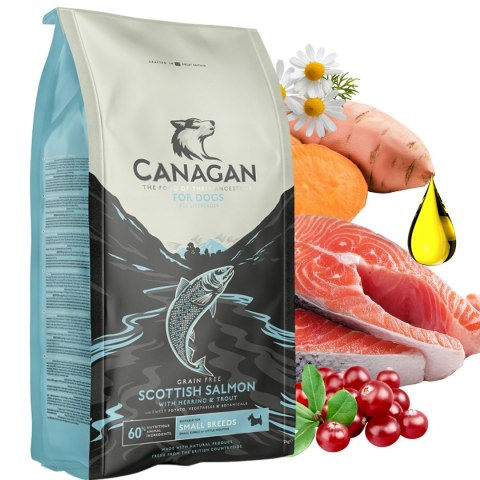 Canagan Scottish Salmon 6 kg Karma dla Psa Bezzbożowa Łosoś