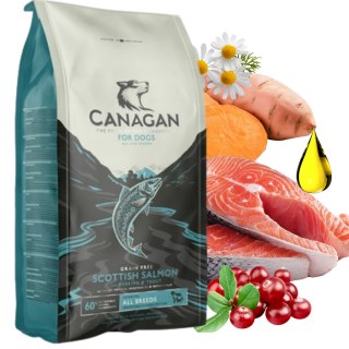 Canagan Scottish Salmon 6kg Karma dla Psa Bezzbożowa Łosoś