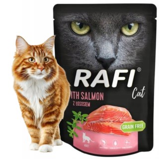 DOLINA NOTECI Rafi Cat mokra karma dla kota 300g łosoś