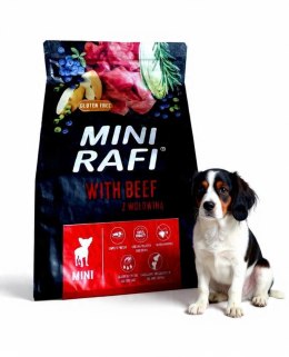 Dolina Noteci Rafi BEEF Mini sucha karma dla psa wołowina 3 kg