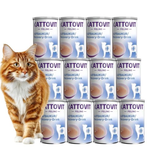 PAKIET KATTOVIT DRINK RECOVERY DLA KOTA 12X135 ML