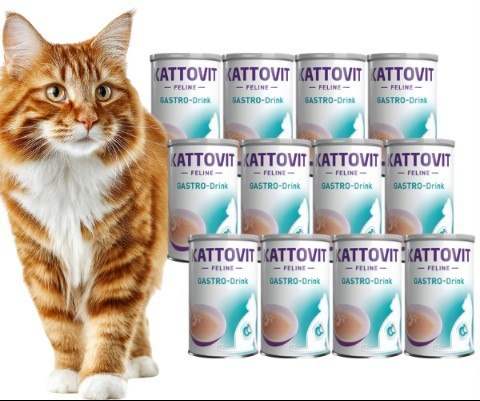 PAKIET KATTOVIT Gastro-Drink kurczak 12X135ml na zaburzenia żołądkowo-jelitowe