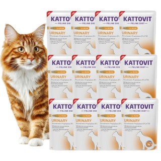 PAKIET KATTOVIT URINARY PATE KURCZAK dla kotów na drogi moczowe 12X85g