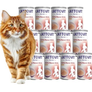 PAKIET Kattovit NIERE RENAL Drink kawałki mięska 24X135ml Kurczak