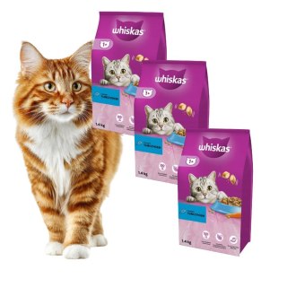 PAKIET Sucha karma dla kota dorosłego Whiskas z tuńczykiem 3X1,4 kg