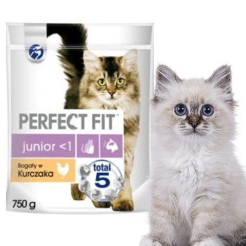 PERFECT FIT (Junior