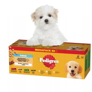 Pedigree Szczeniak Junior Wybór Smaków 40x100g Mokra Karma Dla Szczeniąt W Galaretce