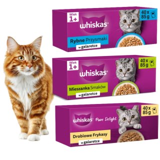 WHISKAS 120x85g Karma mokra dla kota MIX SMAKÓW Zestaw 3 BOXY GALARETKA